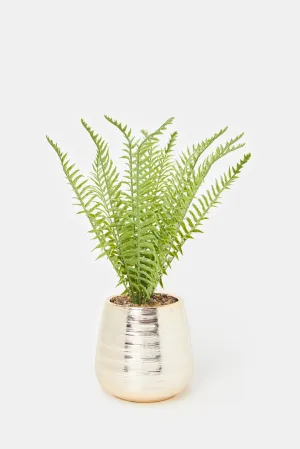 Artificial Creeper Plant In Ceramic Pot