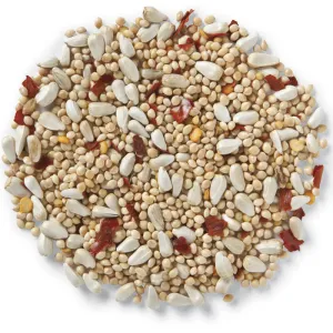 Brown's No Squirrels...Just Birds Wild Bird Seed, 5-lb bag