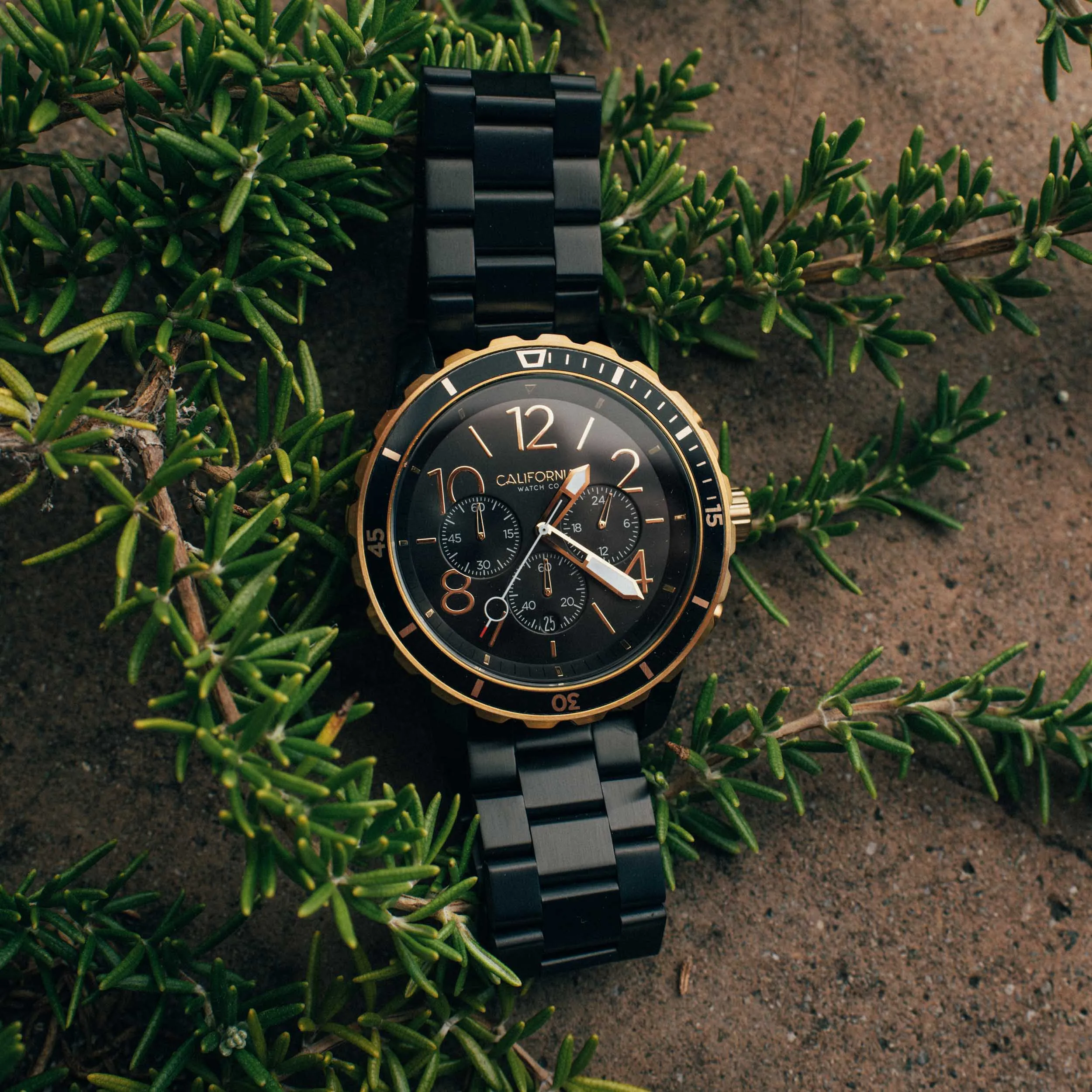 Mavericks Chrono SS All Black Gold